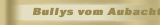 Bullys vom Aubachtal